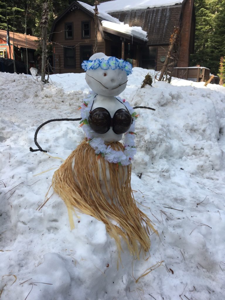 Hawaiian snowman wearing coconut top and hula skirt